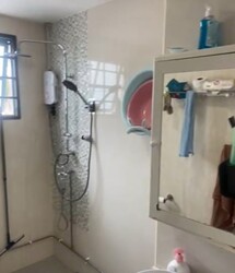 Camellia Lodge (D14), Apartment #504564801